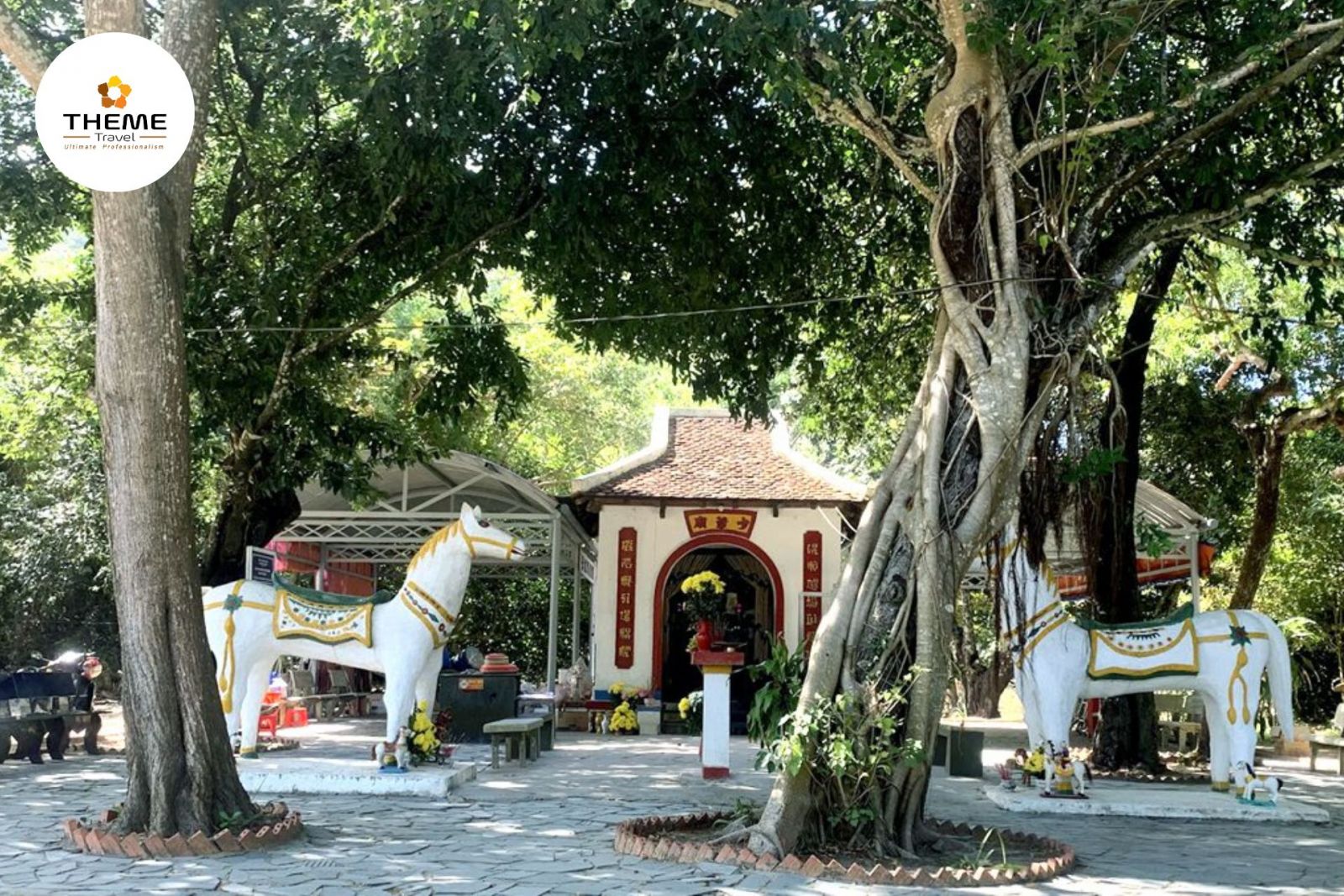 Tour Côn Đảo