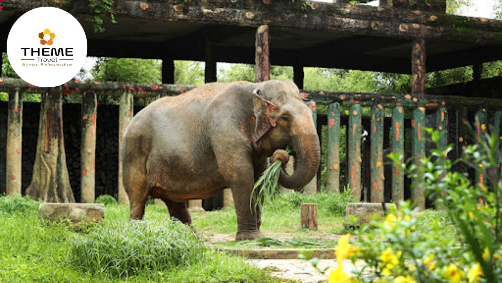 Tour tham quan KDL Đại Nam - tour học sinh