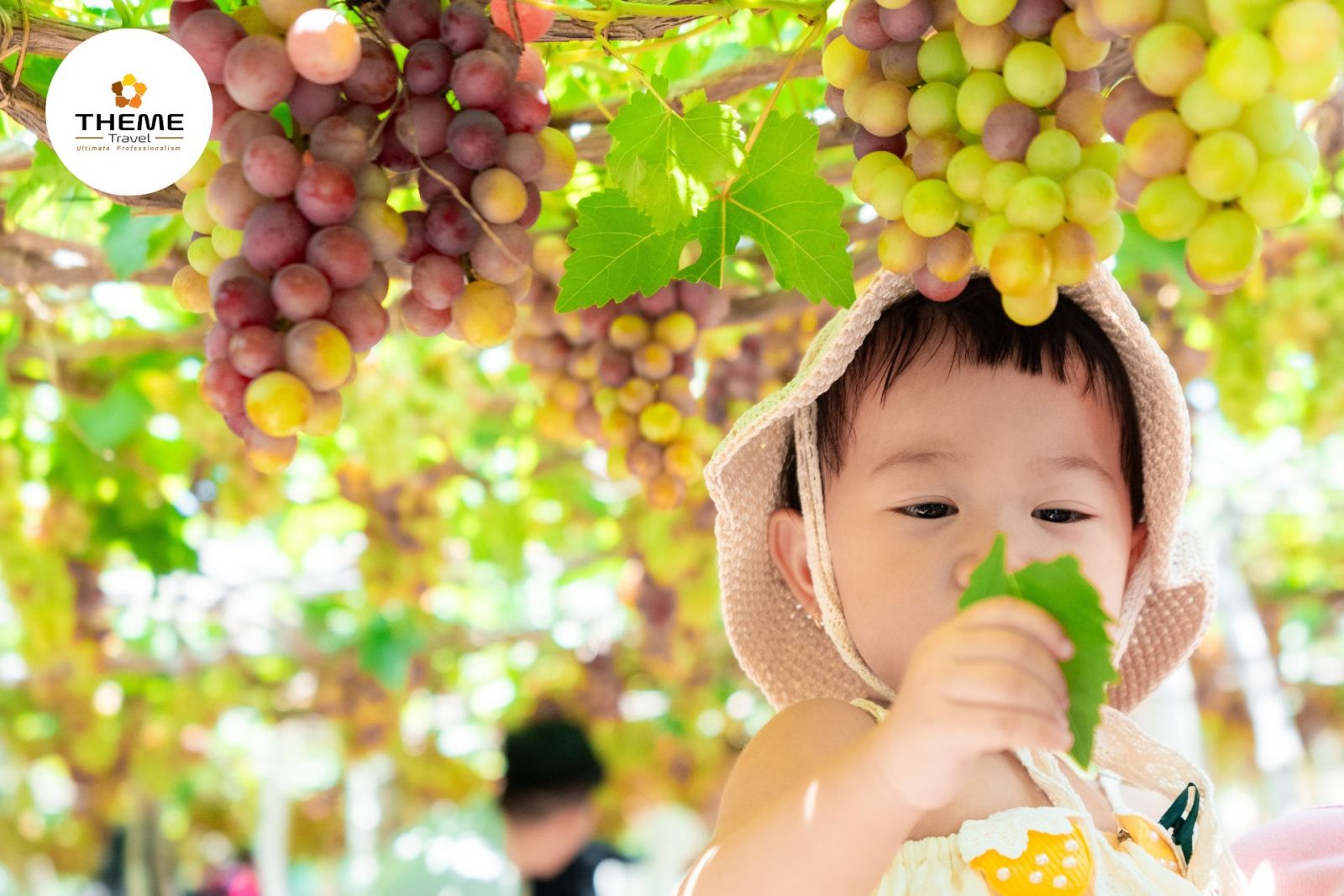 Tour Ninh Thuận 2N2D