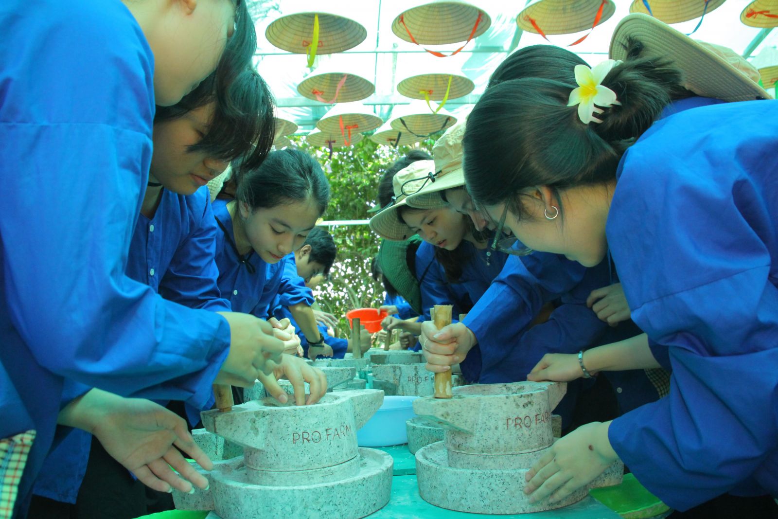 Tour nông trại Profarm-di tích ngã ba Giồng