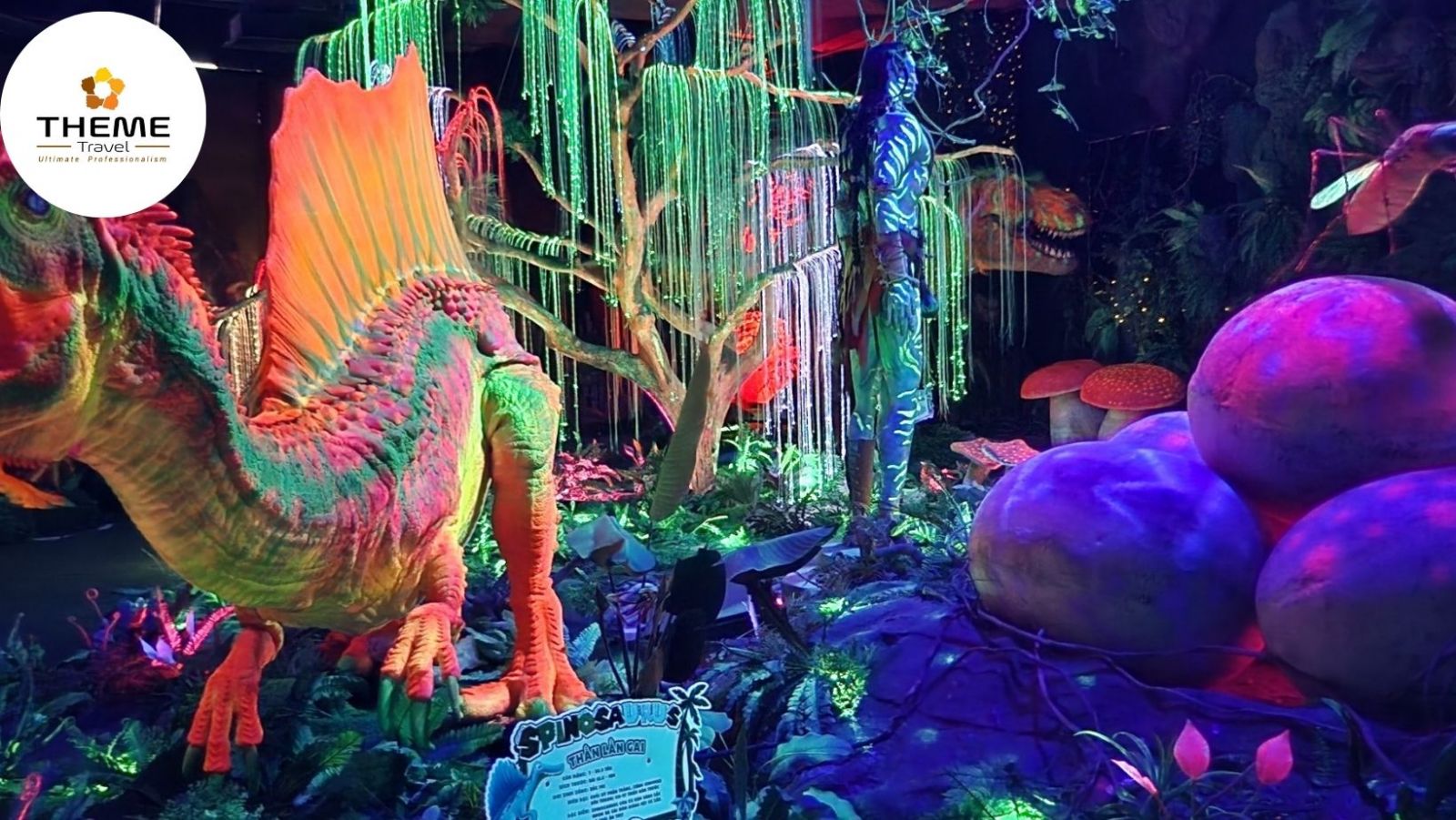 tour tham quan thành phố ánh sáng Jazzy Paradise - tour học sinh